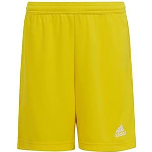 adidas Ent22 SHO Y Shorts voor baby's, uniseks