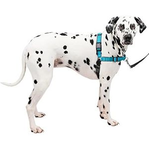 PetSafe Deluxe Easy Walk Hondentuig - Martingale lus met D-ring stopt trekken - Trainings- en gedragshulp - Reflectiviteit verbetert de zichtbaarheid bij weinig licht - comfortabele vulling -