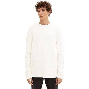 TOM TAILOR Denim Uomini Basic gebreide trui 1033757, 10338 - Soft Light Beige, M