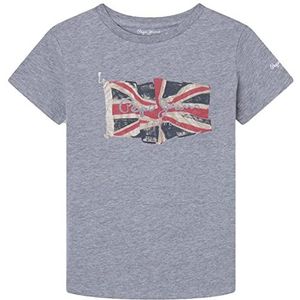 Pepe Jeans Flag Logo Jr S/S N T-shirt voor kinderen, Grijs (Grijs Marl), 14 Jaren