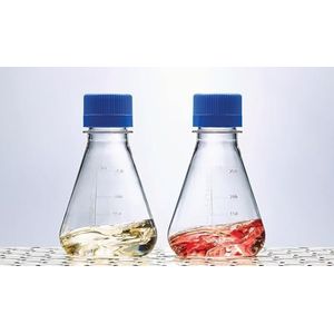 Nalgene® Single Use PETG Erlenmeyer Flasks met effen bodem: steriel