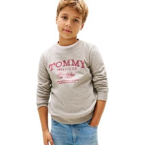 Tommy Hilfiger TOMMY FADED PRINT SWEATSHIRT KB0KB10337 Trui Sweatshirt voor jongens, grijs (Mid Grey Heather), 3 jaar, Grijs (Mid Grey Heather), 3 jaar