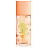 Elizabeth Arden - Green Tea Nectarine Blossom - Eau de Toilette Spray - Frisse fruitgeur - 100 ml