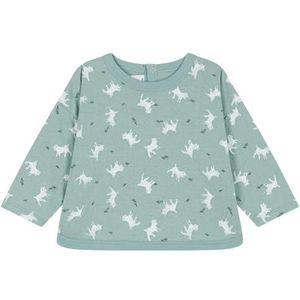 Petit Bateau T-shirt ML PAU/MU3M Unisex Baby, Groen Paul/Veelkleurig, 6 Maanden