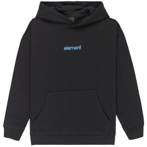 Element - Hoodie Lowcase Bp - Flint Black - Met Capuchon - Lange Mouwen