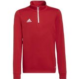 adidas Unisex Kids Sweatshirt Ent22 Tr Topy, Tepore, H57550, 164 EU