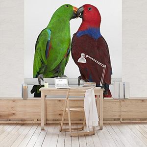 Apalis Vliesbehang verliefde papegaaien fotobehang vierkant | fleece behang wandbehang wandschilderij foto 3D fotobehang voor slaapkamer woonkamer keuken | Maat: 192x192 cm, meerkleurig, 98119
