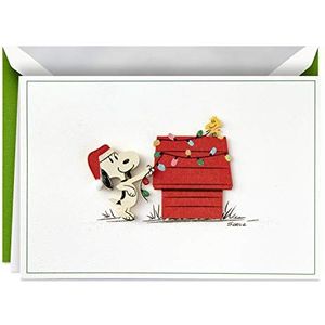 Hallmark Signature Pinda's Boxed Kerstkaarten, Snoopy Lights (10 kaarten met enveloppen)