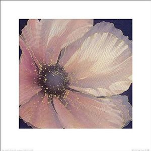 The Art Group Maggie Thompson (Pale Pink Petals) -Kunstdruk 40 x 40cm, Papier, Multi kleuren, 40 x 40 x 1,3 cm