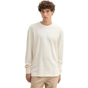 TOM TAILOR Denim T-shirt voor heren, 12906 - Wool White, XL