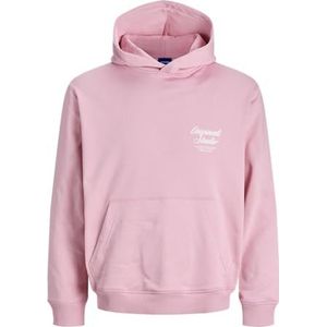 JACK & JONES Sweatshirt  lichtroze / wit