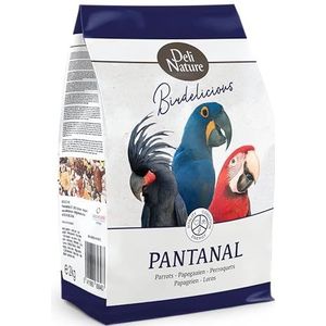 Birdelicious Papegaaien Pantana
