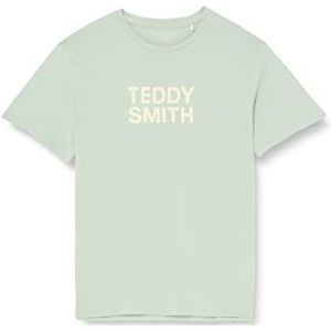 Teddy Smith Ticlass Basic MC T-shirt voor heren, lente lichen, S