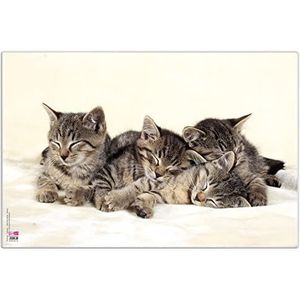 VELOFLEX 4651114 - Bureaulegger katten, 40 x 60 cm, antislip, afveegbaar, met transparante antireflecterende beschermfolie, bureauonderlegger, schildermat, knutselmat