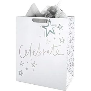 Hallmark Multi-Occasion Grote Gift Bag en Tissue Paper Set - Holografisch Folie Tekst Ontwerp met Zilver Papier