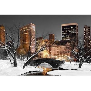 Scenolia Canvas afbeelding van Central Park Lights 60 x 40 cm | Wanddecoratie | 100% gemaakt in Frankrijk
