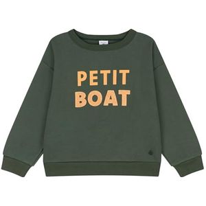 Petit Bateau Sweatshirt voor jongens, groen (Avoriaz Green), 10 Jaar