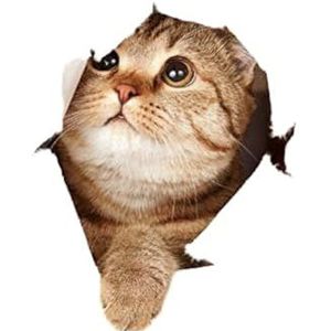 Pioneer Women Dames Karen broek, Light Grey Stonewash (9841), W38 / L30, lichtgrijs stonewash (9841), 38W x 30L