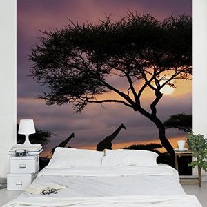 Apalis Vliesbehang Safari in Afrika fotobehang vierkant | vliesbehang wandbehang foto 3D fotobehang voor slaapkamer woonkamer keuken | Maat: 336x336 cm, zwart, 97972