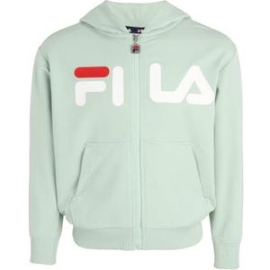 FILA Unisex kinderen BALGE Classic Logo Zip Hoody, Silt Green, 86/92, Silt Green., 86/92 cm