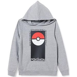 NAME IT Jongens Nkmjalte Pokemon Sweat Wh Bru Noos Bfu sweatshirt, gemengd grijs, 116 cm