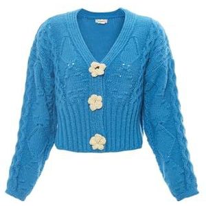 Ebeeza Dames gehaakte button-down pullover turquoise XS/S, turquoise, XS