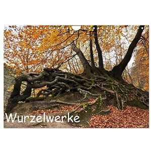 Wurzelwerke (Wandkalender 2024 DIN A4 quer), CALVENDO Monatskalender: Impressionen aus dem Teutoburger Wald