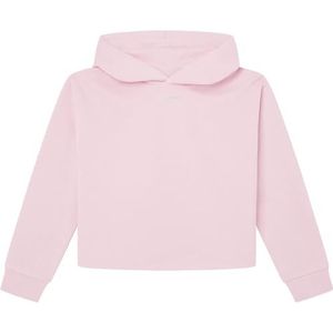 Pepe Jeans Victoria-trui voor meisjes, Roze (Rozenhout Roze), 10 jaar