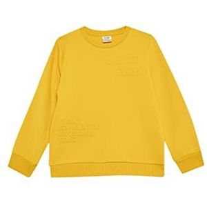 DeFacto Pullover met lange mouwen voor jongens - ronde hals sweatshirt voor jongens, geel, 11-12 Jaar