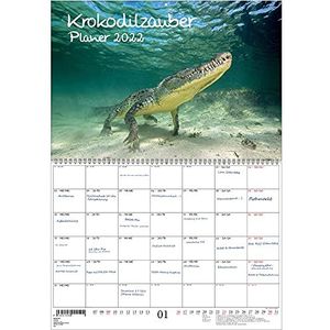 Seelenzauber Krokodillen Magie Planner DIN A2 Ongevouwen - Kalender Voor 2022 Krokodillen En Alligators