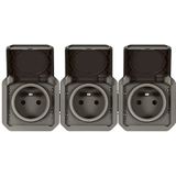 Legrand - Plexo 2P+T - Afdekraam - Waterdicht - Antraciet - Voor Montage