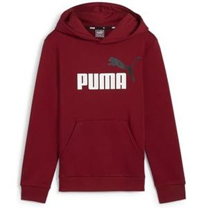 PUMA Jongens Ess+ 2 Col Big Logo Hoodie Fl Sweat