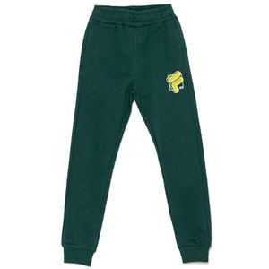 FILA Moderne Lugau joggingbroek, groen, 134-140