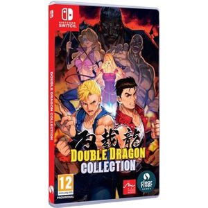 Double Dragon Collection NS