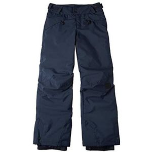 Anvil Pants Skibroek Snowboard Broek