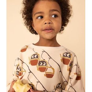 Petit Bateau Sweatshirt AVA/ME3A jongens, Avalane/Bongris, 10 Jaar