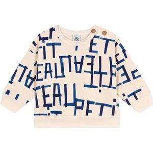 Petit Bateau Sweatshirt AVA/MU6M voor jongens, Avalanche wit/meerkleurig, 24 mesi