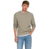 Only & Sons - ONSTONY - Gebreide Trui - Beige
