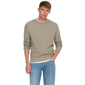 Only & Sons - ONSTONY - Gebreide Trui - Beige