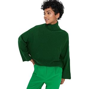 Trendyol Dames Regular Basic Staande Kraag Knitwear Sweater, Groen, M