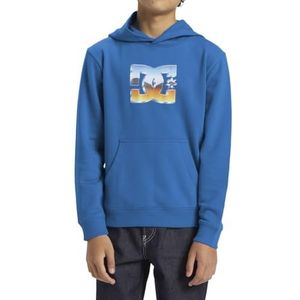 DC Shoes Chrome Boy Pullover voor jongens