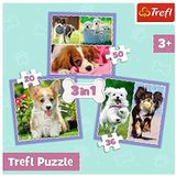 Trefl, Puzzels, schattige honden, 20 tot 50 elementen, 3 Sets, voor kinderen vanaf 4 jaar