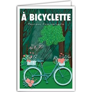 Afie 69-4301 wenskaart voor verjaardag met envelop voor meisjes of dames, mini-poster in formaat 17 x 11,5 cm, fiets met bloemen, rozen, rood, bos, om te fietsen, retro, vintage