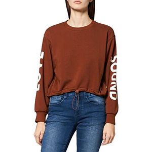 LTB Jeans Dames Nofeda Trui, Grey Gold Lurex 12523, XS