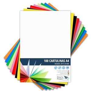 Raylu Paper® 100 vellen A4-karton, 180 g, 210 x 297 mm, zacht gevoel, ideaal voor binden, kantoorwerk, tekenen, knutselen (verschillende kleuren)