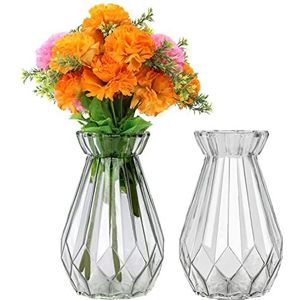 Belle Vous Helder Kristal Glas Vazen (2 Pak) – 15 cm – Modern Decoratieve Cylinder Glas Bloemen Vaas Set voor Huis Kopstuk en Kantoor Decoratie