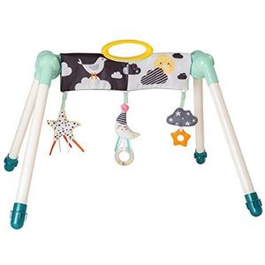 Taf Toys Mini Moon Take to Play Baby Activity Gym, Double Sided for 2 Developmental Stages, Foldable, Easy Storage and Mobility, Perfect to use with Bouncers from Birth 0 Months +