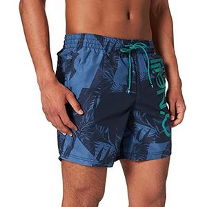 O'Neill Heren Cali floral Shorts, Blue All Over Print, S