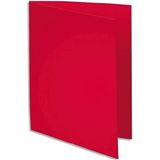 Exacompta - ref. 800016E - Set van 100 felgekleurde inlegmappen - ROCK''S - 80 g/m2 - in PEFC™ - gecertificeerde mappen - Afmetingen: 22 x 31 cm for A4 format - colour raspberry