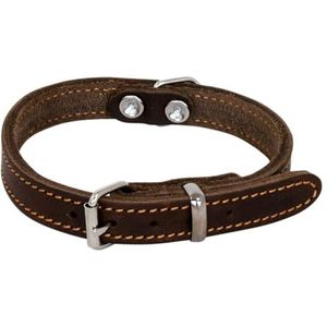 Jack and Vanilla - Hondenhalsband van vet leer - robuust, duurzaam, gemakkelijk te onderhouden, zacht en aangenaam gevoel - moderne look - kleur bruin, afmetingen 14 mm x 35 cm